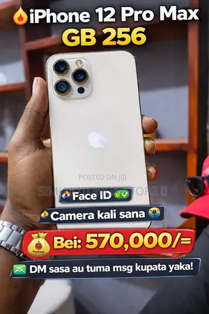 Apple iPhone 12 Pro Max 256 GB Rose Gold