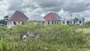 Kiwanja Kinauzwa Nyashishi