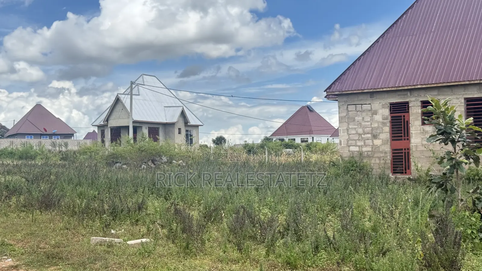 Kiwanja Kinauzwa Nyashishi