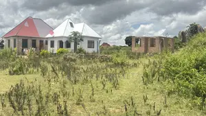 Kiwanja Kinauzwa Nyashishi