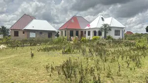 Kiwanja Kinauzwa Nyashishi