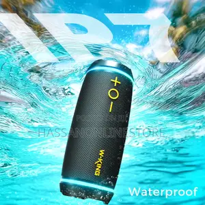 W-King D220 40w Portable Bluetooth Speaker