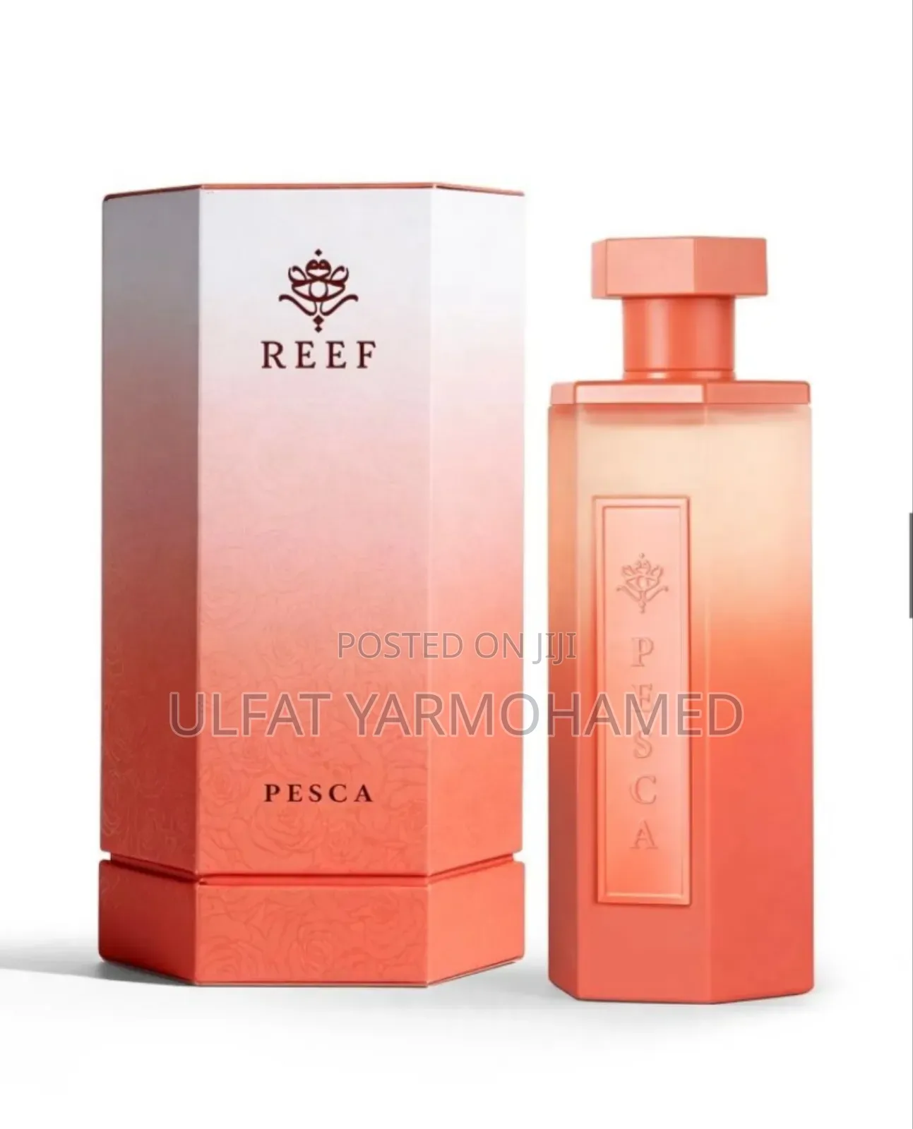 Reef Pesca