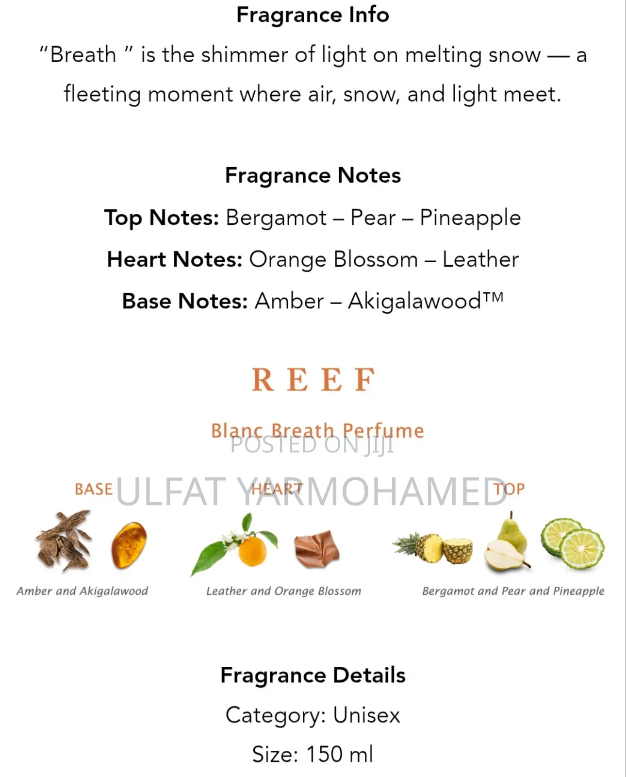 Reef Blanc Breath