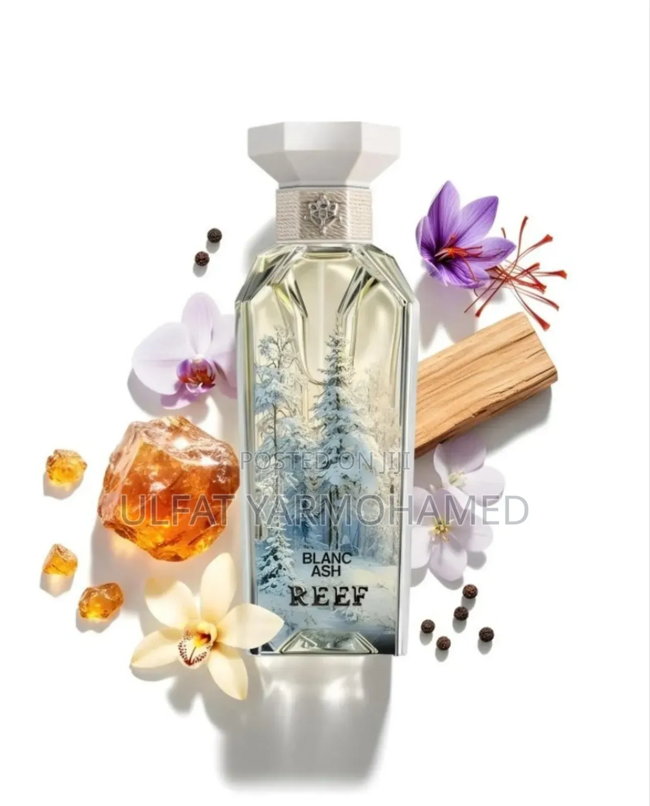 Reef Blanc Ash