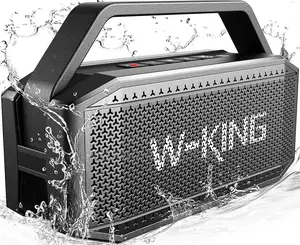 W-King D9-1 100w Portable Loud Bluetooth Speaker