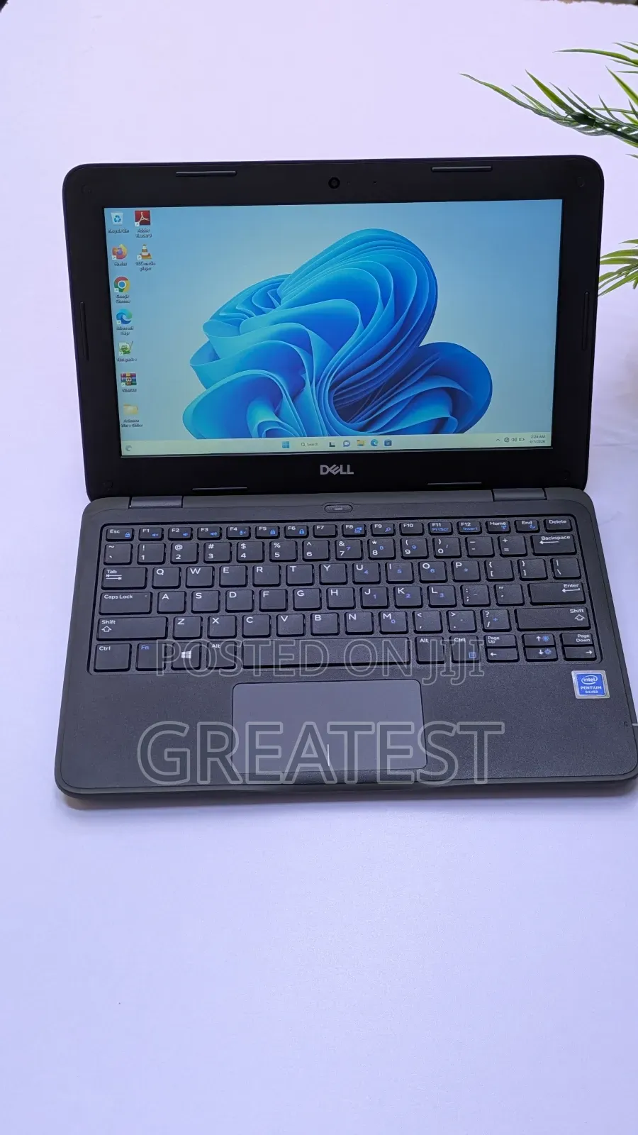 Laptop Dell Latitude 3180 4GB Intel Pentium SSD 128GB