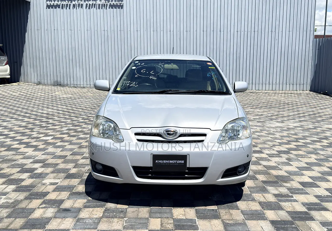 Toyota Corolla RunX 2004 Silver