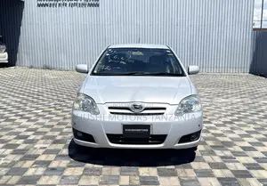 Toyota Corolla RunX 2004 Silver