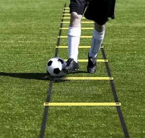 Speed and Agility Training Ladder