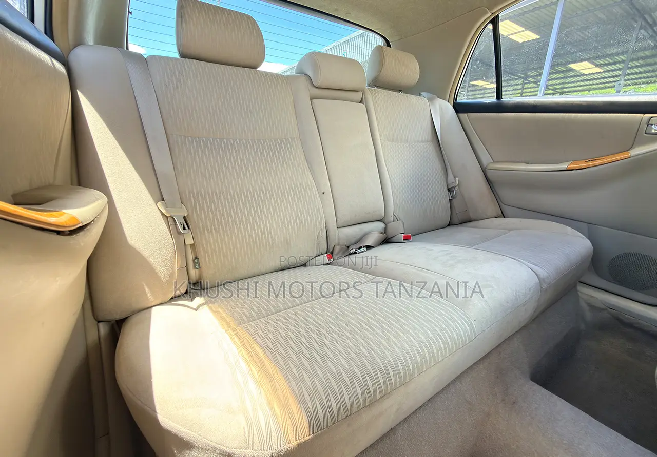 Toyota Corolla RunX 2004 Silver