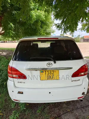 Toyota Ipsum 2005 White
