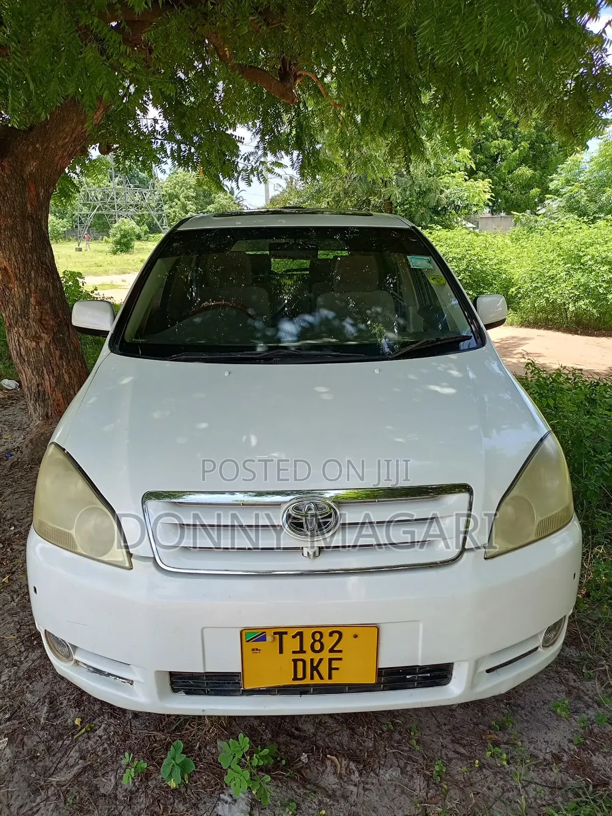 Toyota Ipsum 2005 White
