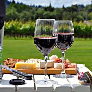 Glass Wine ( 6 Pieces)