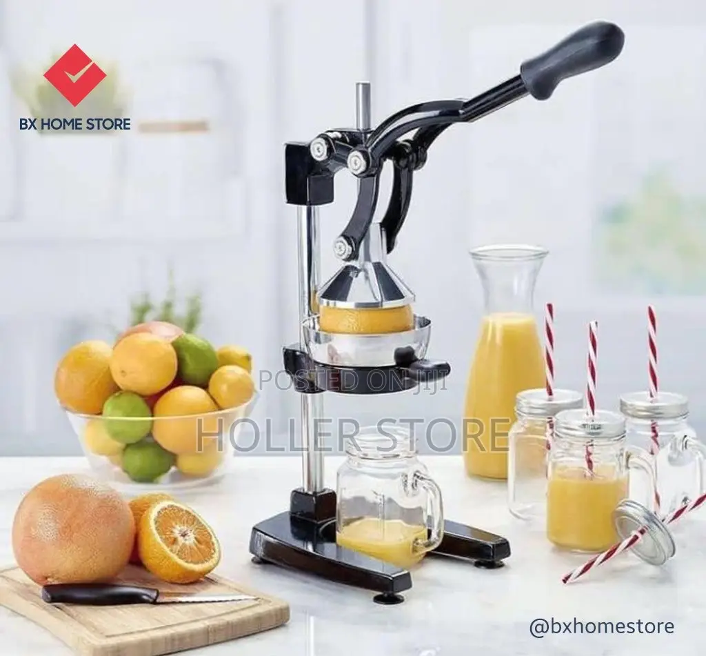 Hand Juicer ( Hand Blender)