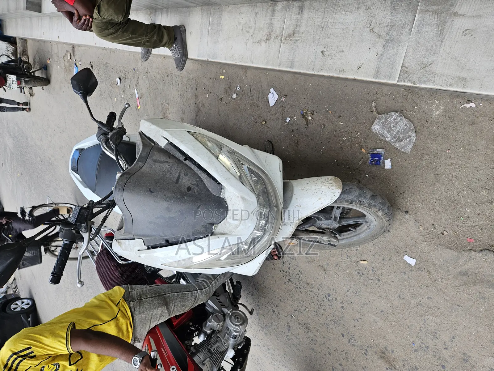 Honda 2024 White