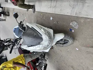 Honda 2024 White