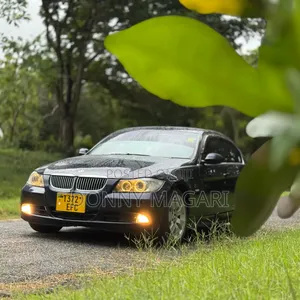 BMW 3 Series 325i RWD 2010 Blue