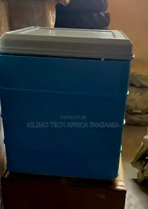 Mashine Ya Kutotoleshea Vifaranga 300