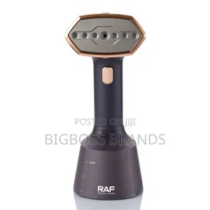 Raf Hand Garmet Steamer Iron R.1395b