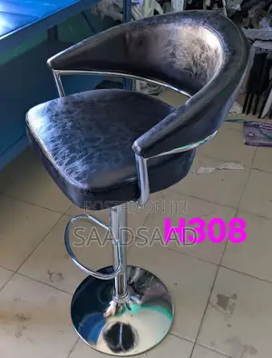 Salon Chair