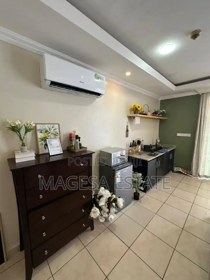Furnished 1bdrm Apartment in Mikocheni for rent