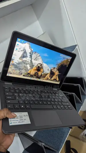 New Laptop Dell Latitude 3120 8GB Intel Pentium SSD 128GB