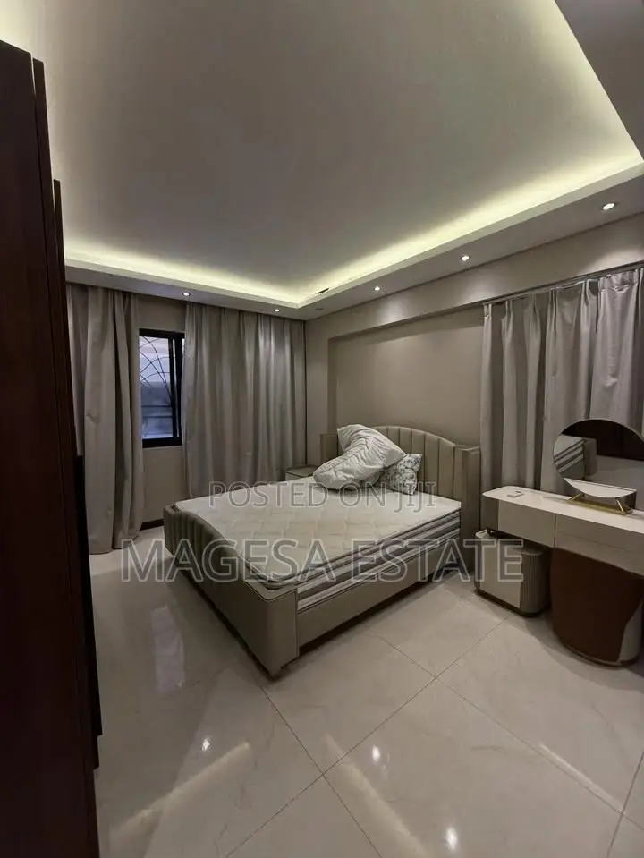Furnished 3bdrm Apartment in Masaki for rent