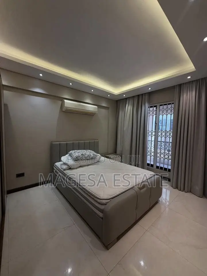 Furnished 3bdrm Apartment in Masaki for rent