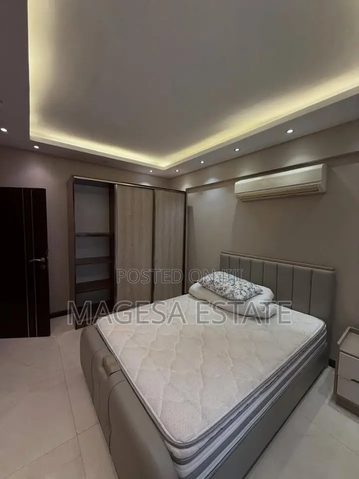 Furnished 3bdrm Apartment in Masaki for rent