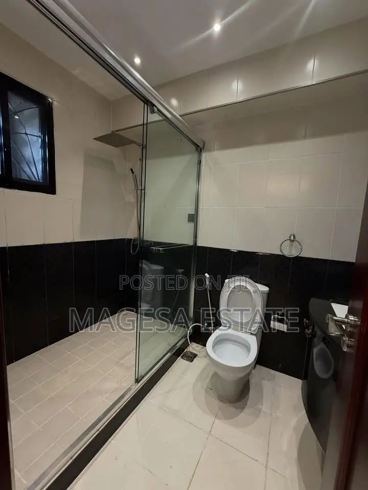 Furnished 3bdrm Apartment in Masaki for rent