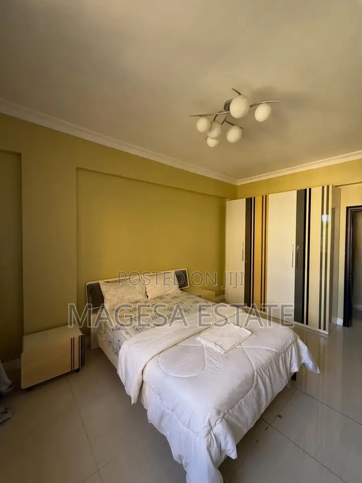 Furnished 3bdrm Apartment in Masaki for rent