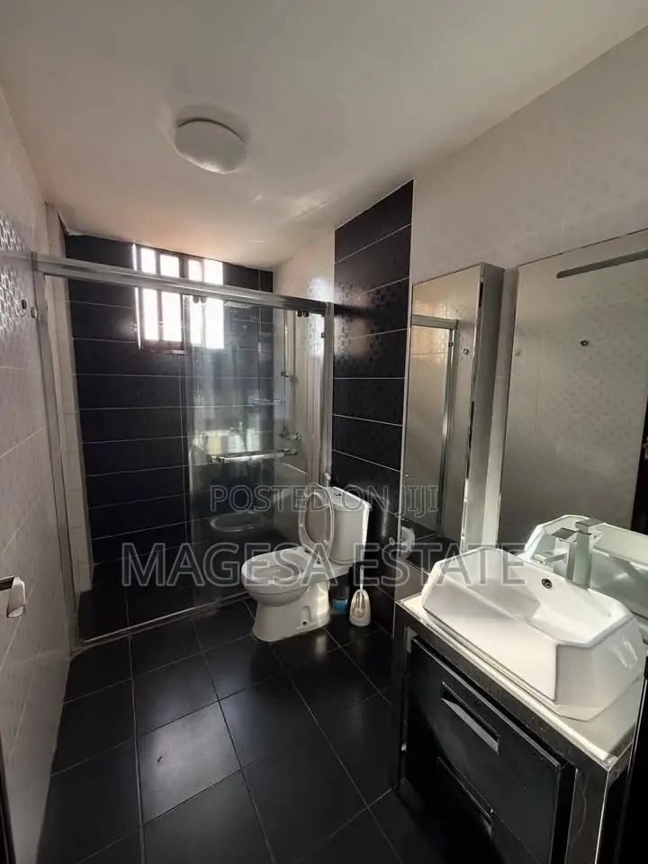 Furnished 3bdrm Apartment in Masaki for rent