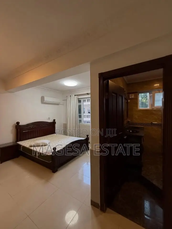 Furnished 1bdrm Apartment in Masaki for rent