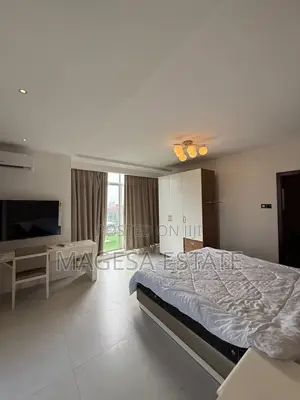Furnished 1bdrm Apartment in Penthouse, Masaki for rent