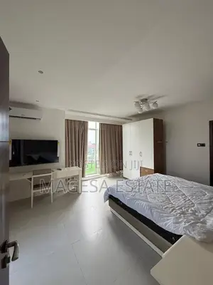 Furnished 1bdrm Apartment in Penthouse, Masaki for rent