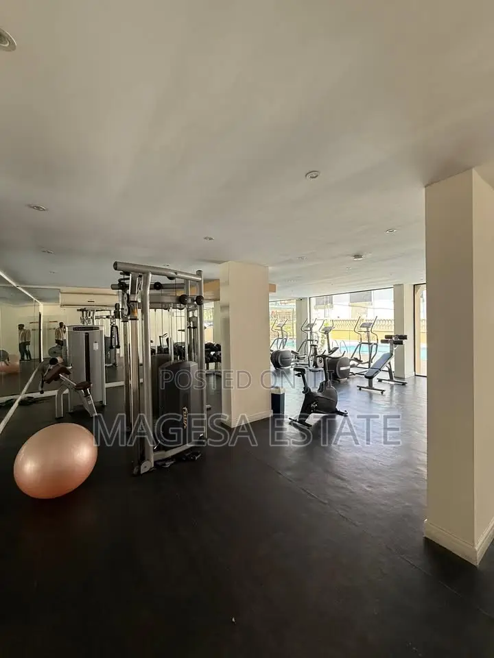 Furnished 1bdrm Apartment in Penthouse, Masaki for rent