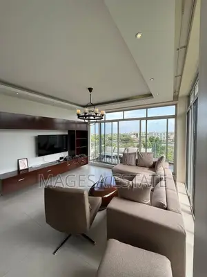 Furnished 1bdrm Apartment in Penthouse, Masaki for rent