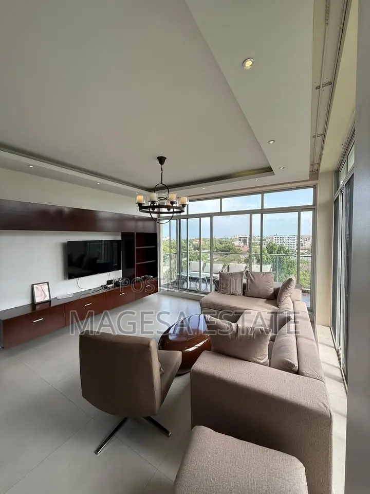 Furnished 1bdrm Apartment in Penthouse, Masaki for rent