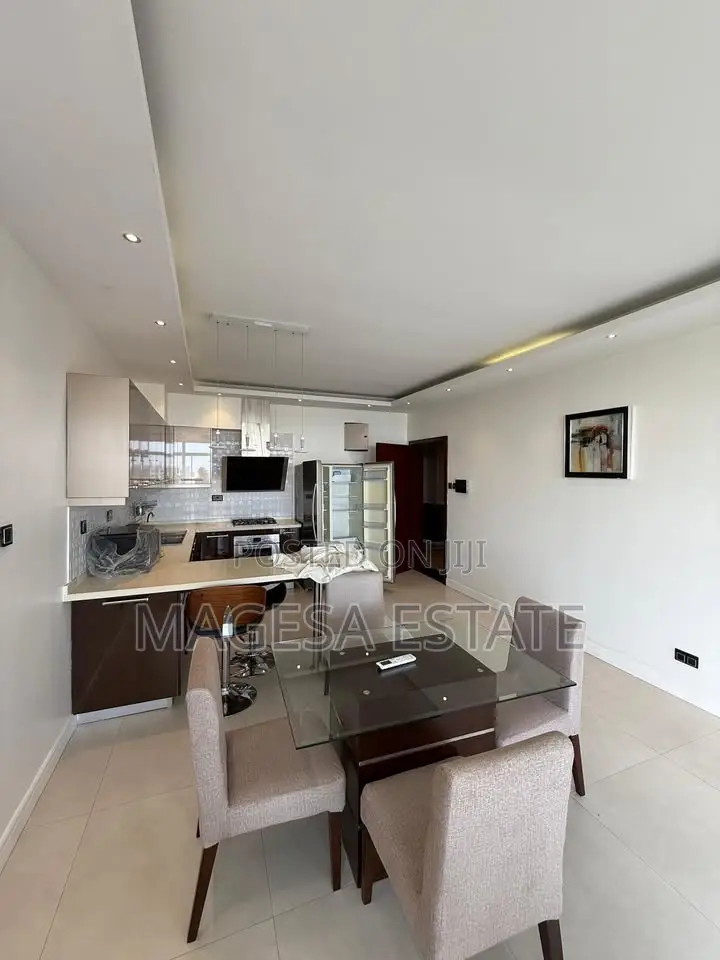 Furnished 1bdrm Apartment in Penthouse, Masaki for rent