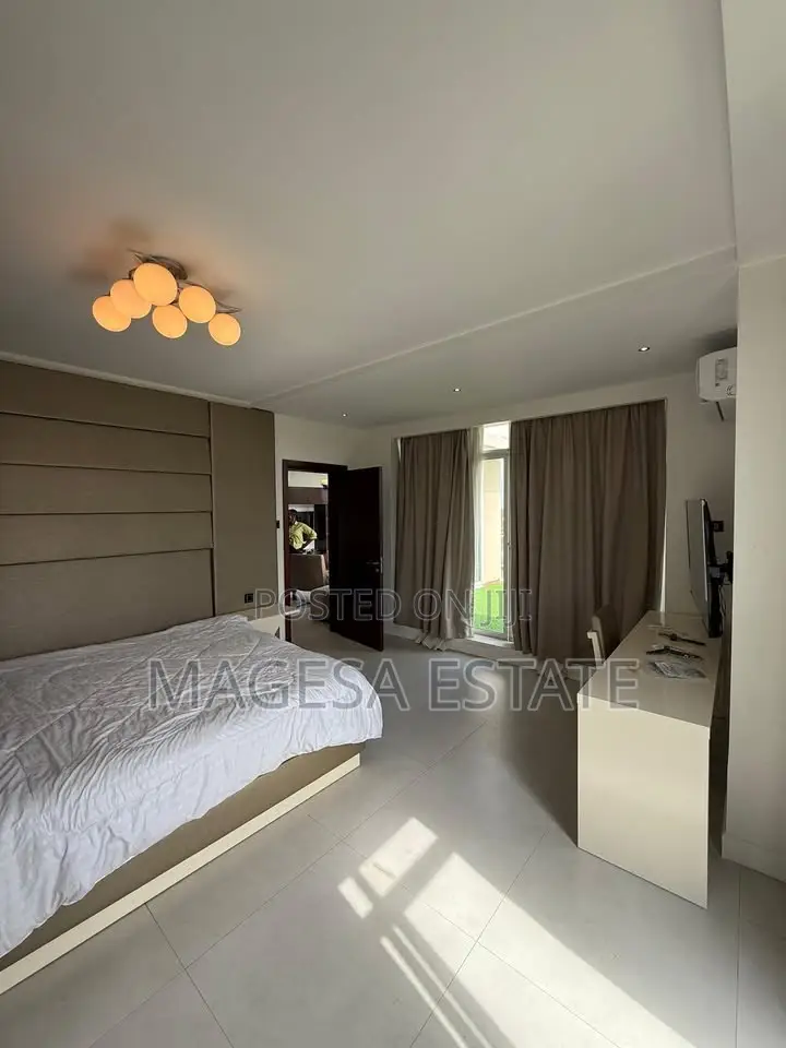 Furnished 1bdrm Apartment in Penthouse, Masaki for rent
