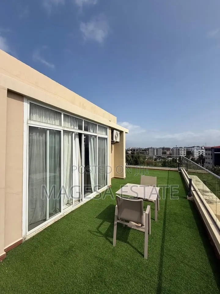 Furnished 1bdrm Apartment in Penthouse, Masaki for rent