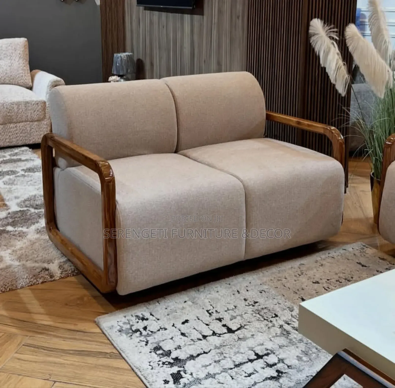 Morden Sofa Set