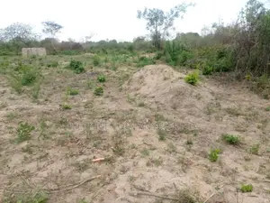 Industrial Plot Mapinga
