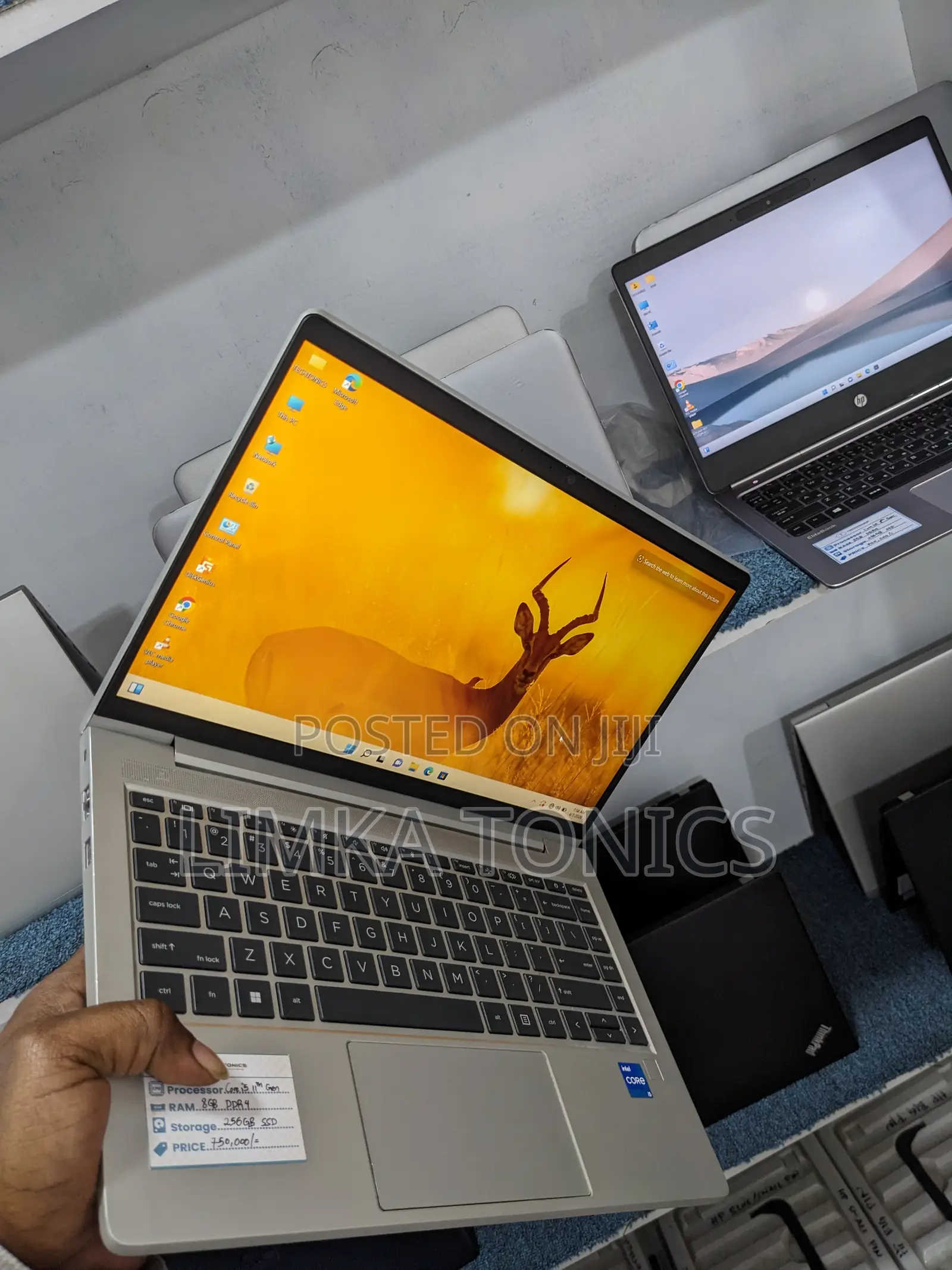 New Laptop HP ProBook 440 8GB Intel Core i5 SSD 256GB