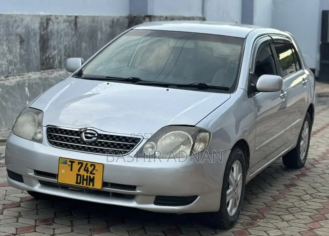 Toyota Allex 2005 Silver