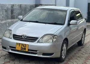 Toyota Allex 2005 Silver
