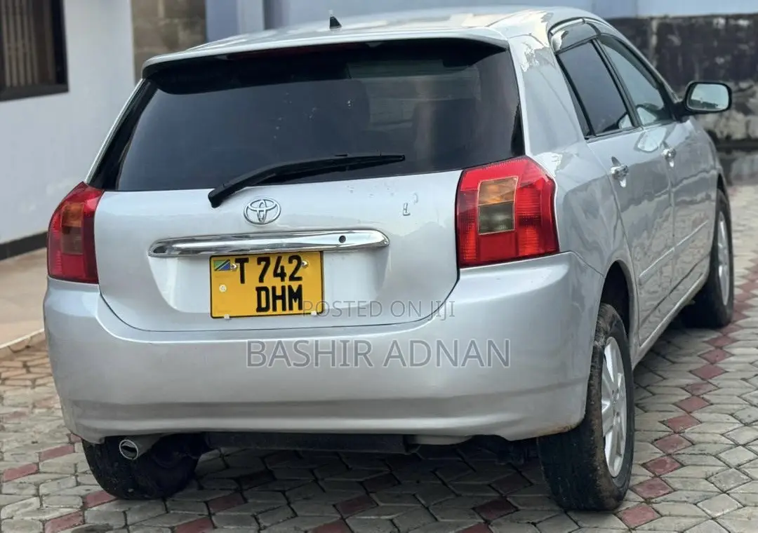Toyota Allex 2005 Silver