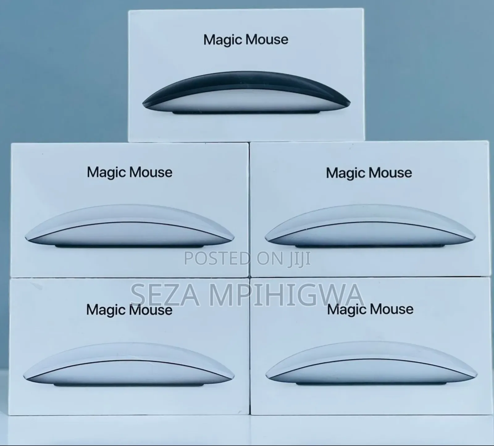 *Magic Mouse