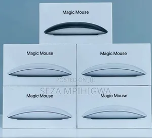 *Magic Mouse
